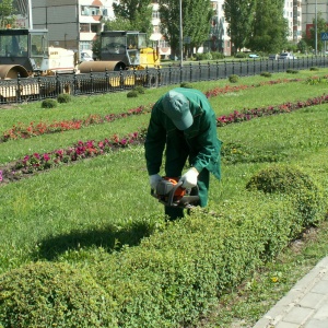 Фото от владельца Зеленстрой, фирма по благоустройству и озеленению