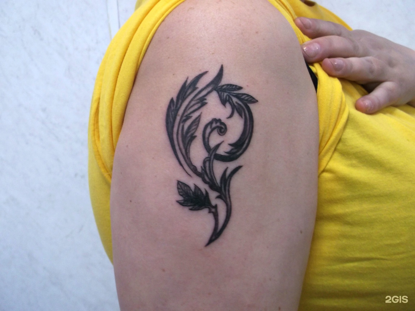 Тату салон камышин. Тату салон в георгиевске. Тату салон камышин. Тату мастер. Скидка на татуировку.