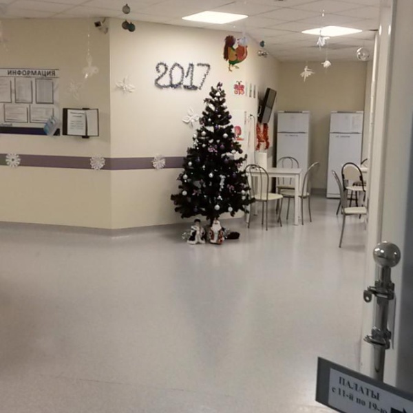 Перинатальный центр, Красноярский краевой клинический