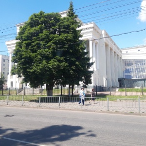 Фото от владельца Орловский государственный университет им. И.С. Тургенева