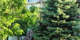 Анапа: Турбаза Динамо 2