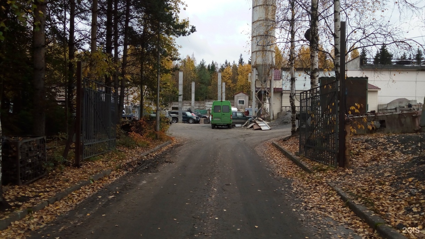 Лесной проспект Петрозаводск. Лесной проспект 51 Петрозаводск. Лесной 51 Петрозаводск камень. Лесной проспект 35 Петрозаводск.