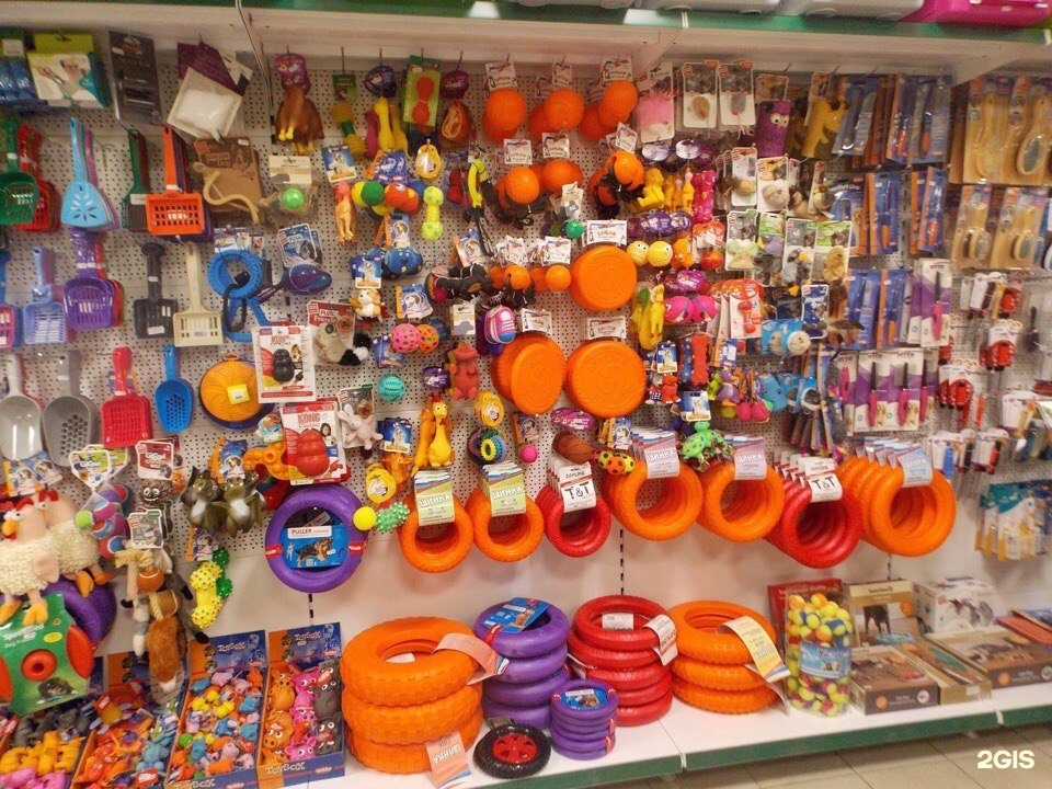 зооландия петрозаводск