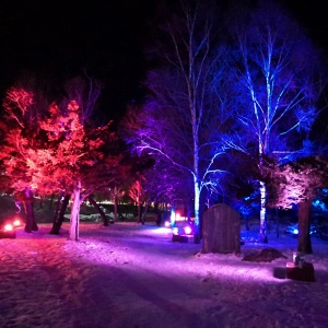 Фото от владельца Городской парк культуры и отдыха им. Ю.А. Гагарина