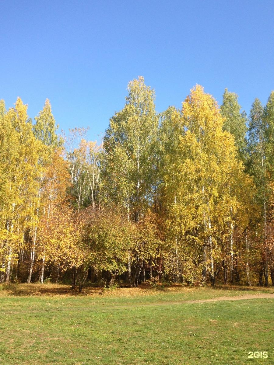 Победы е. Парк Победы Екатеринбург. Папе Победы Екатеринбург. Парк Победы лес. Парк Победы рыбалка Екатеринбург.