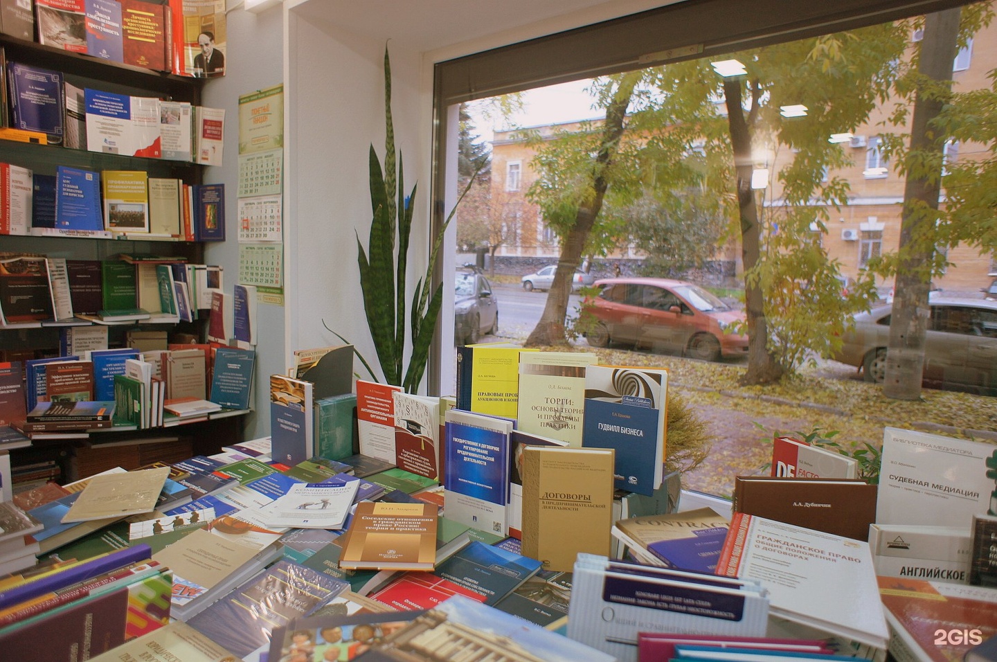 Книжный правые