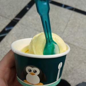 Фото от владельца 33 пингвина, магазин мороженого