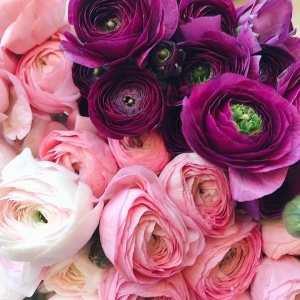 Фото от владельца Ben fleurs, цветочный магазин