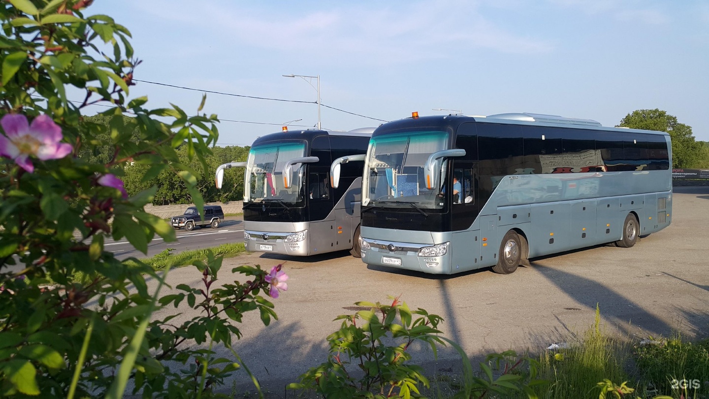 3 автобус петропавловск камчатский. Трансфер автобус. Аренда автобусов Петропавловске.