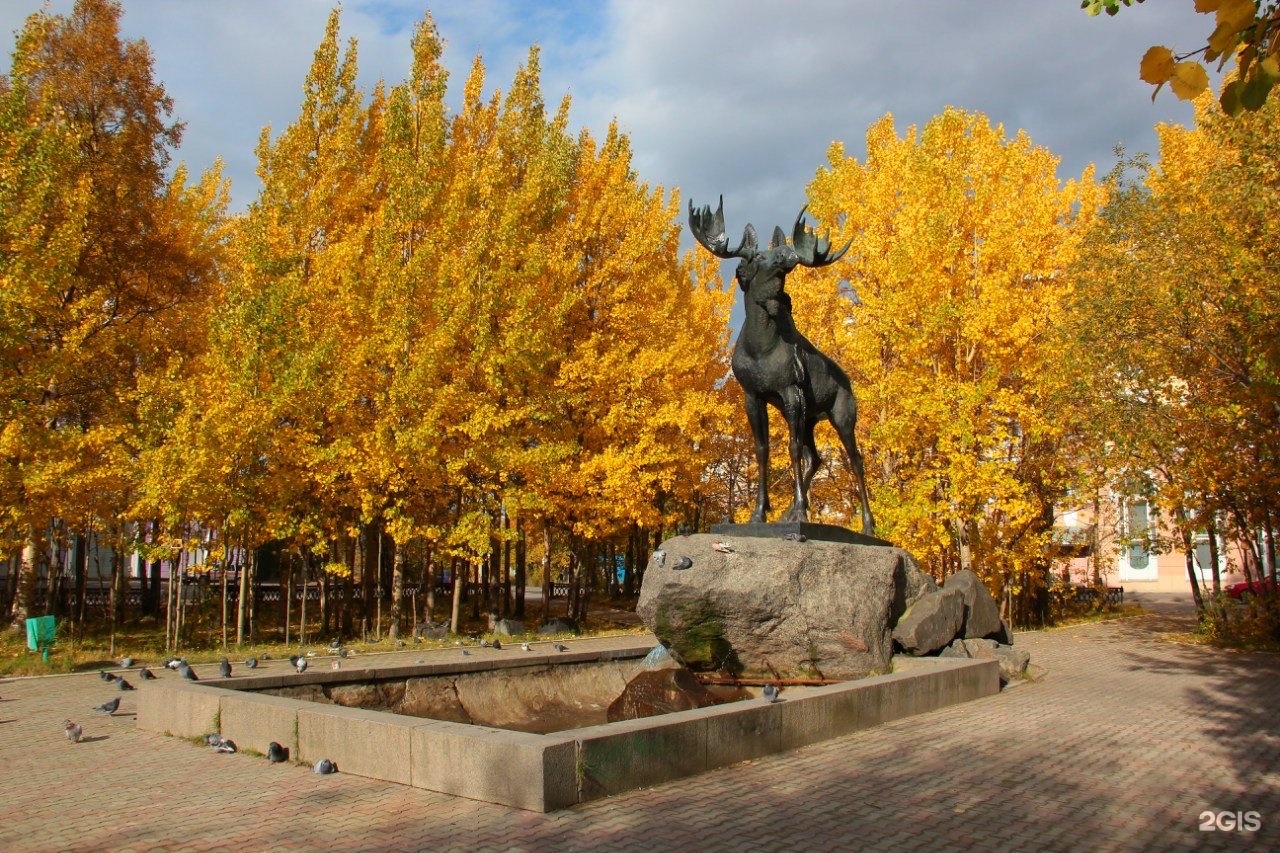 Мончегорск собаки. Памятник лосю в Мончегорске. Комсомольский парк Мончегорск. Город Мончегорск Лось. Мончегорск осень.