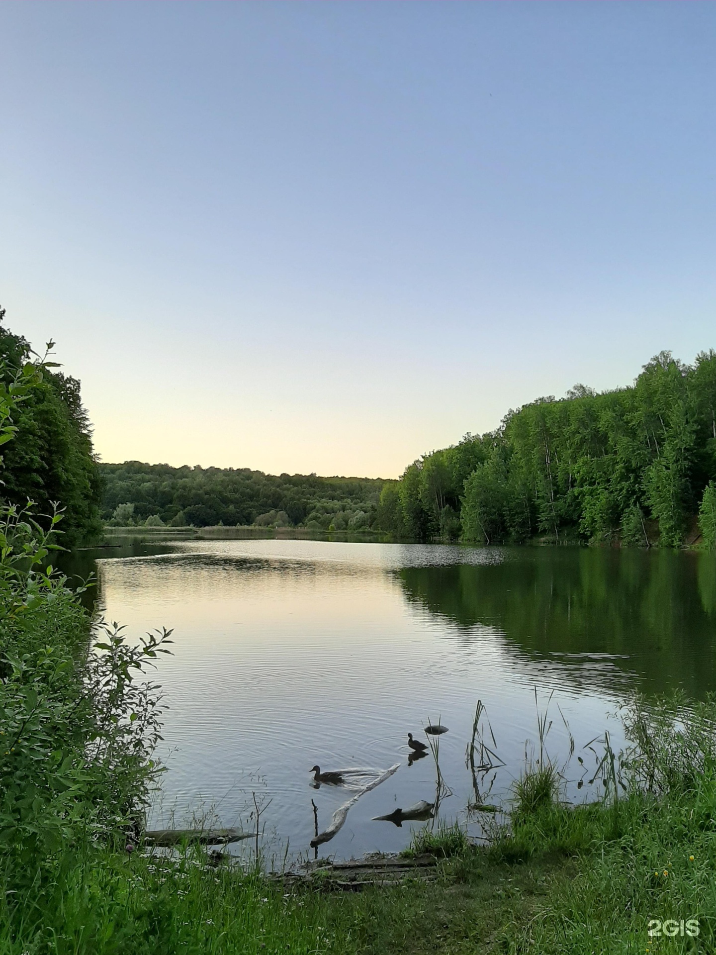 Пионерский пруд фото