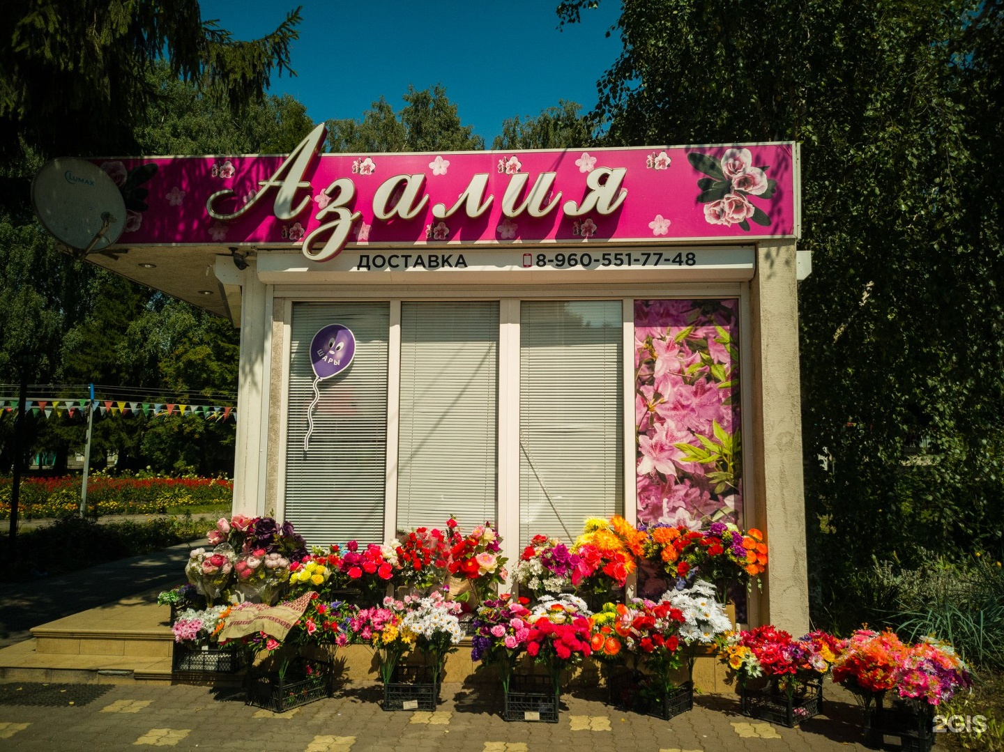 Азалия цветочный магазин Трубчевске