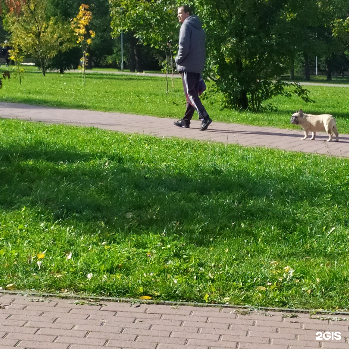 челябинск парк алое поле