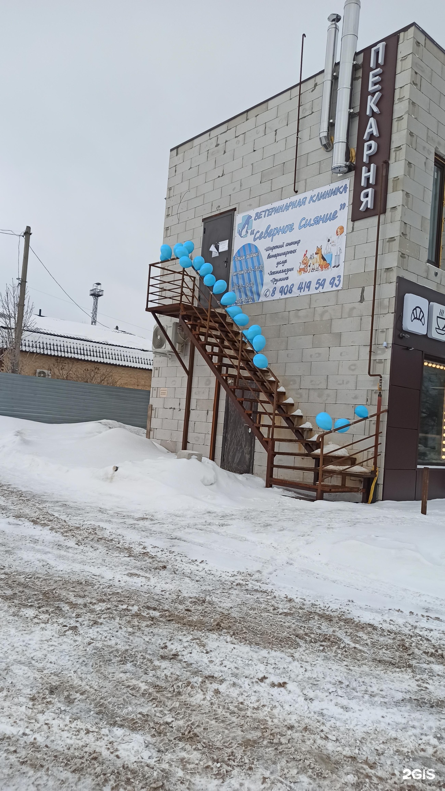 Похвистнево река большой кинель. Большой кинель реки самарской. Кинель ул советская. Б кинель. Самарская область г кинель ул завод 12 дом 12.