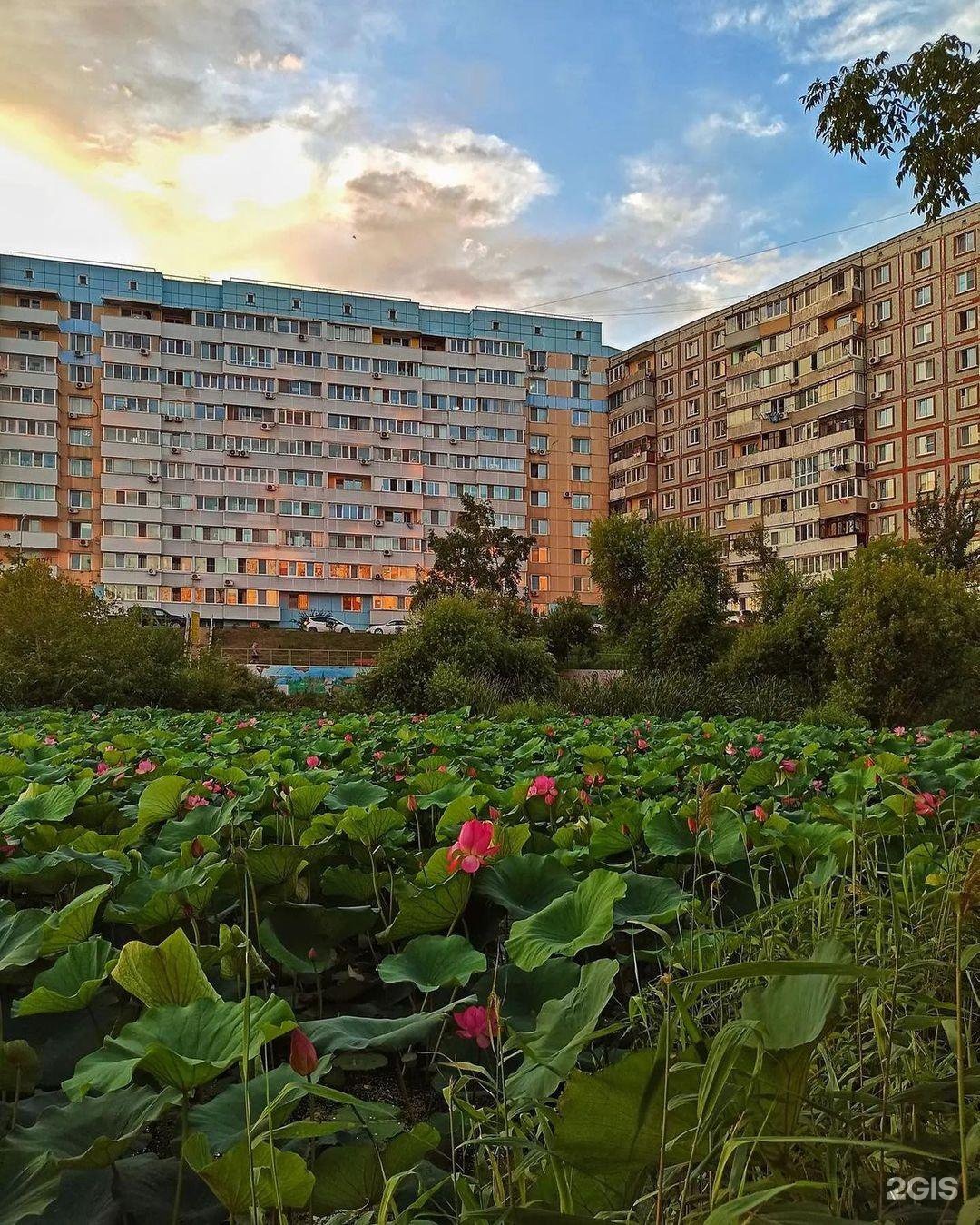 Поселок трудовое фото