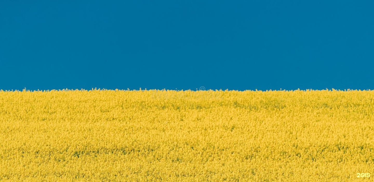 Желто голубой поле дождь