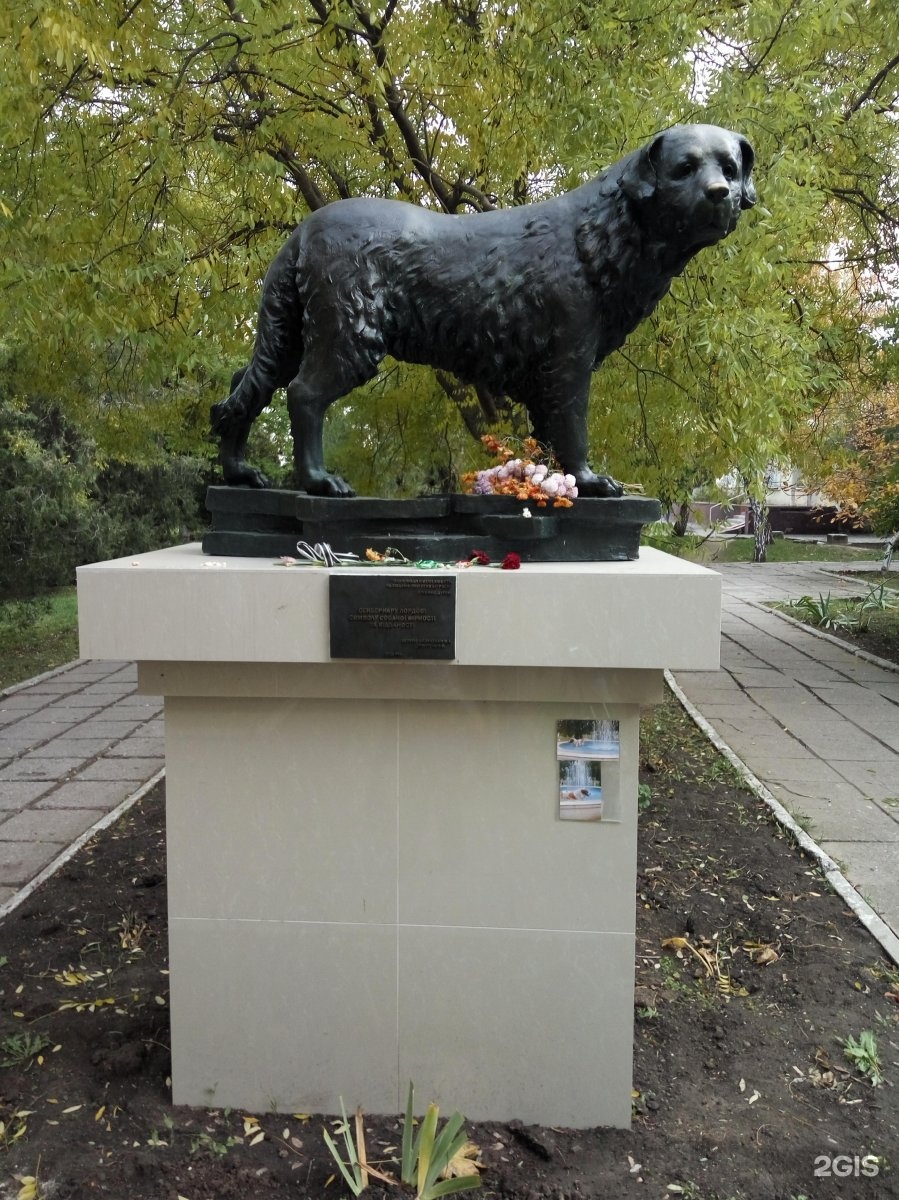 памятник сенбернару барри в париже