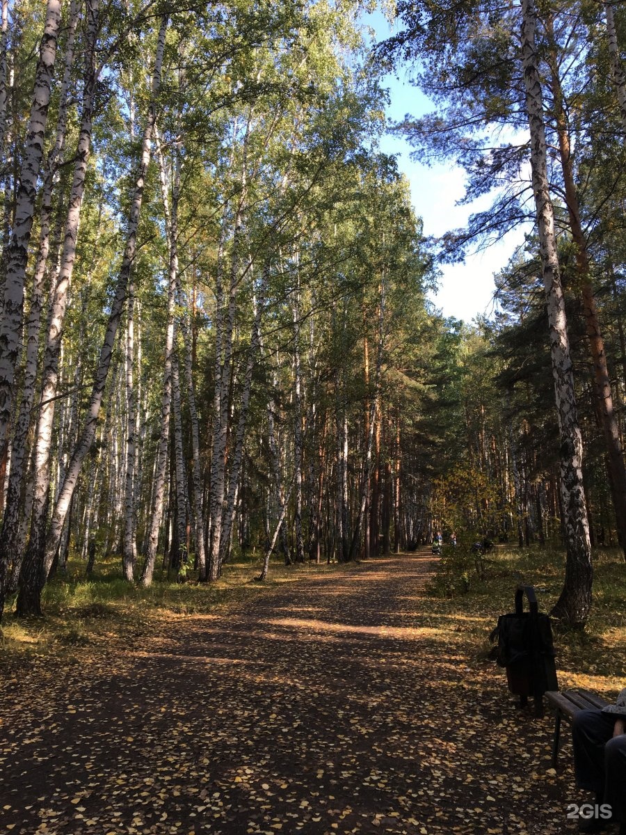 северо западный парк челябинск