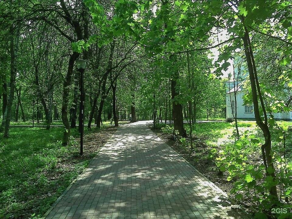 Парк имени Кулибина. Парк им Кулибина Нижний. Парк Кулибина Нижний Новгород фото. Деревья парк Кулибина.