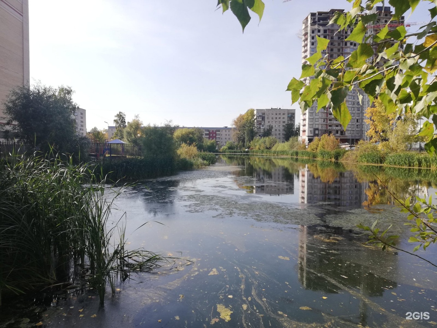 озера в балашихе