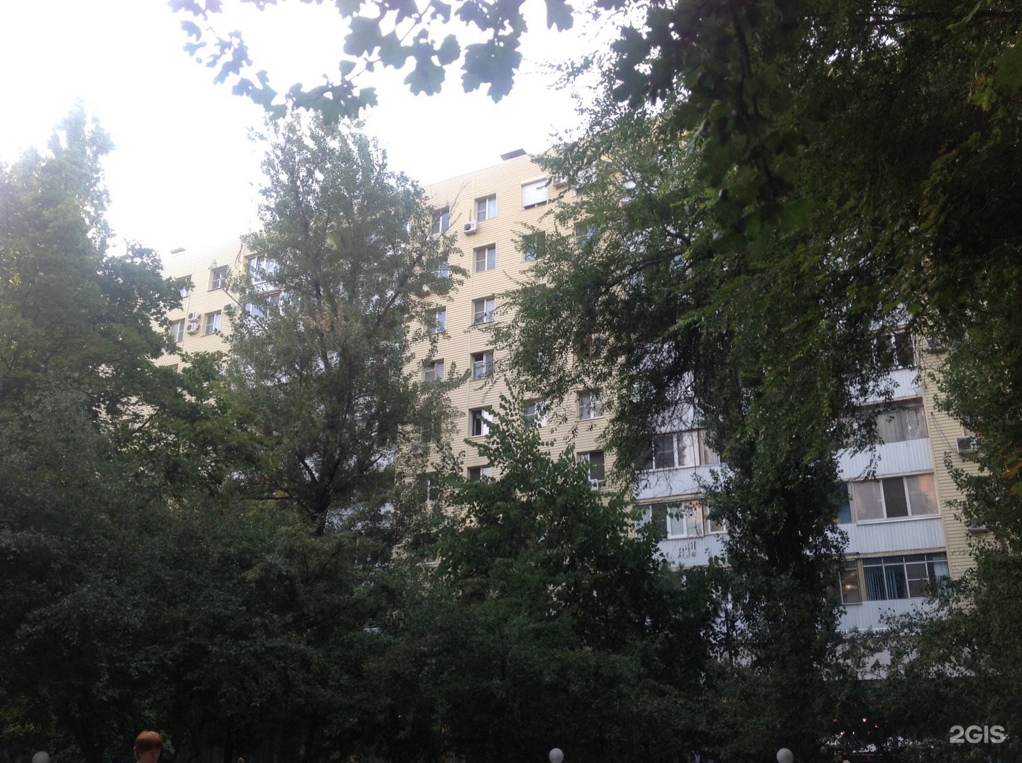 Пушкинская 181 ростов. Таганрогская, 181. , 215,. Пушкинская 181 ростов. Ростовская 181.