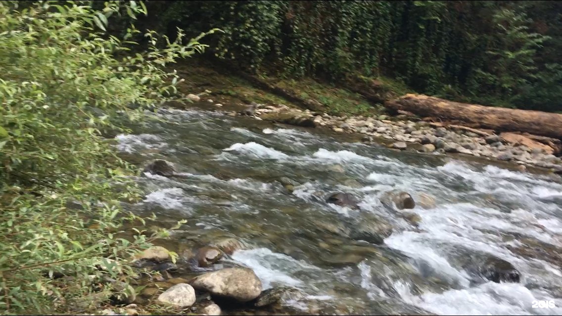 Ореховый водопад в Сочи