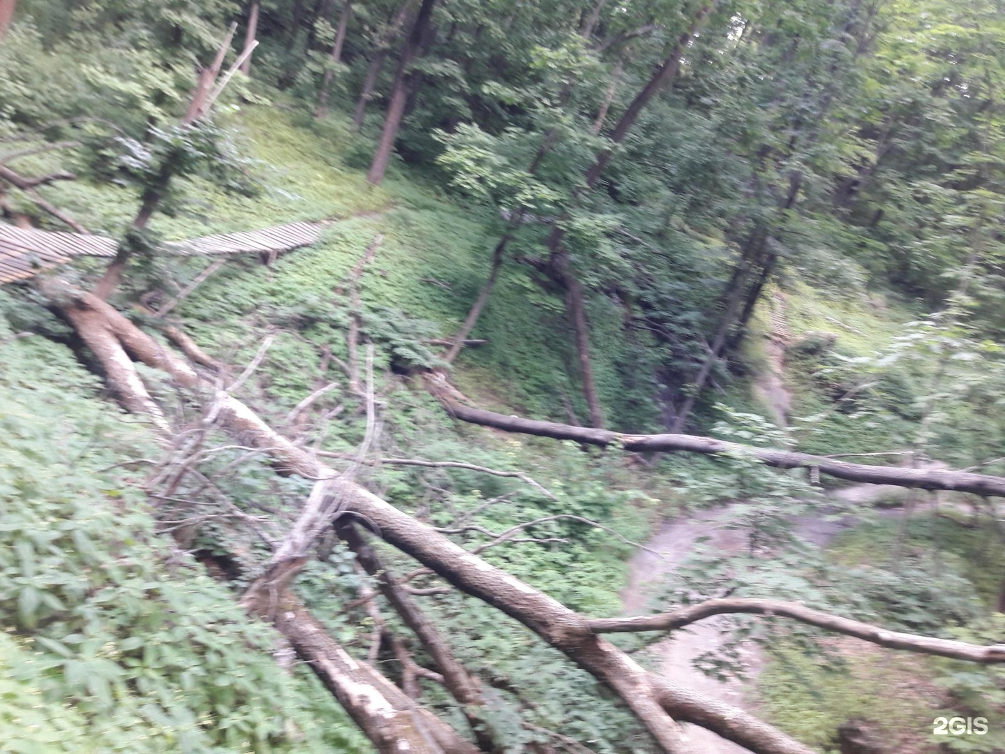 Лысая гора оренбург дачи