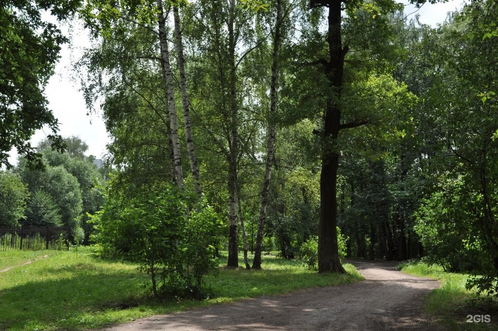 Фото заказник алтуфьевский