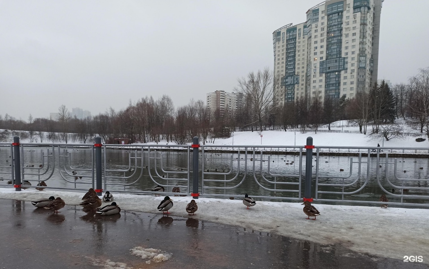 парк олимпийской деревни в москве фото