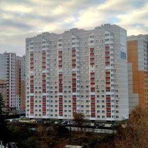 Павшинский мост тула