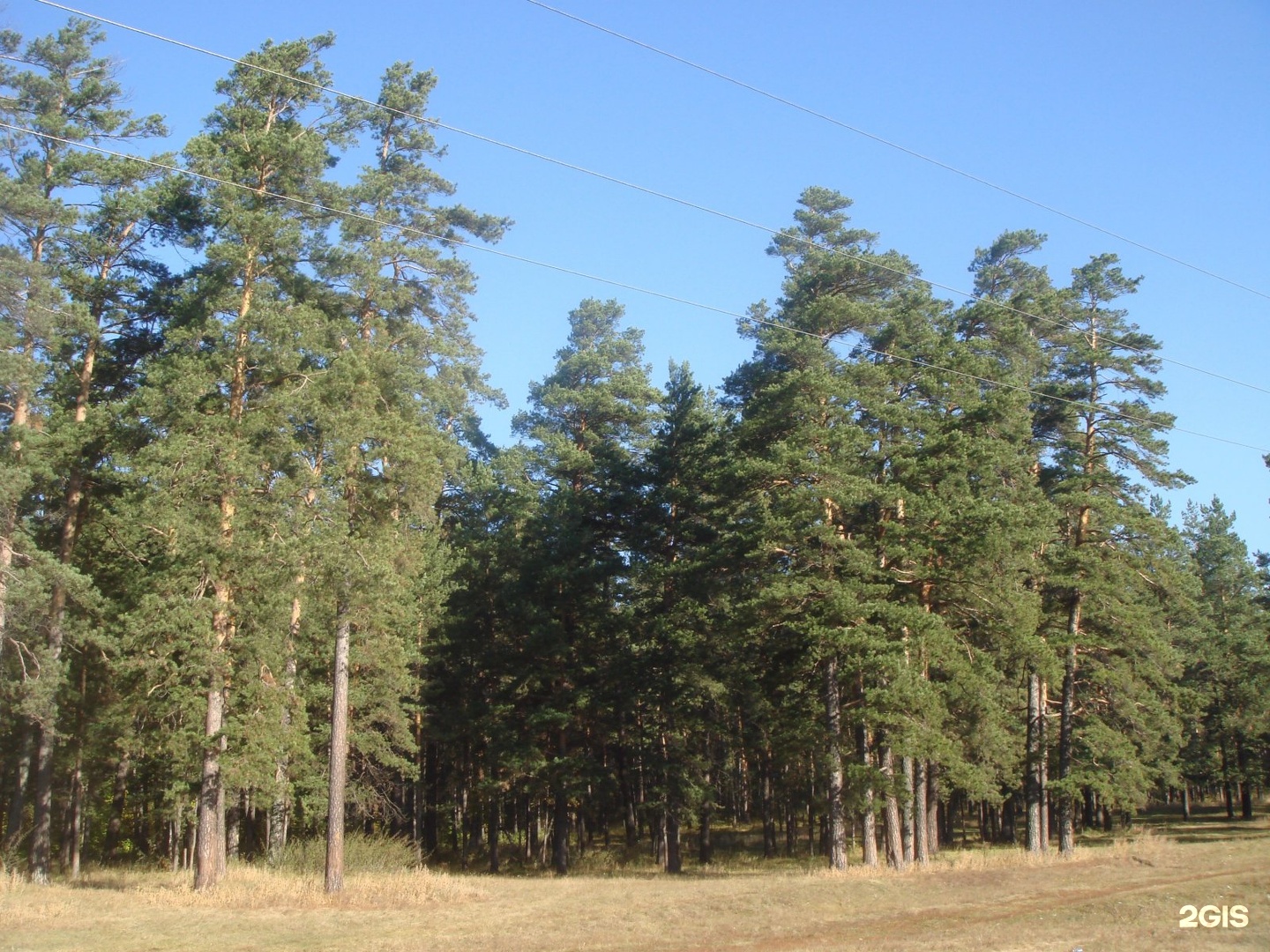 бородулиха казахстан