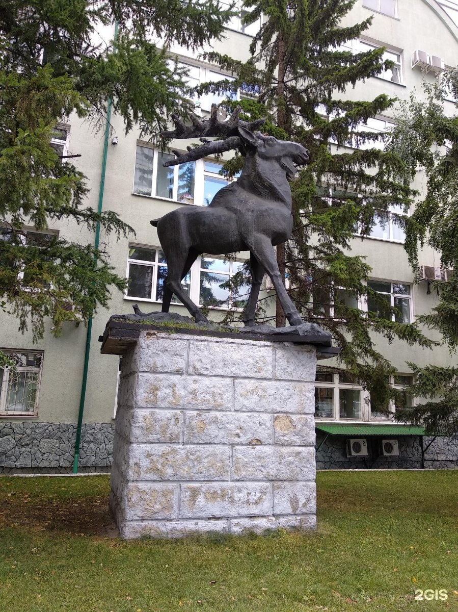 Бодрый лось барнаул. Памятник Лось (Барнаул). Скульптурная композиция лоси Рыбинск. Лось в Барнауле по городу. Кировский район Новосибирск скульптуры Лось.