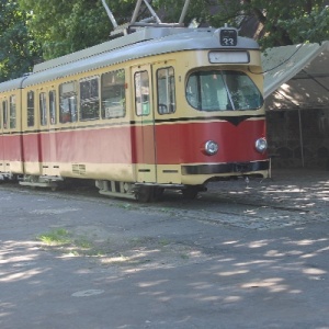 Фото от владельца Южный, ландшафтный парк