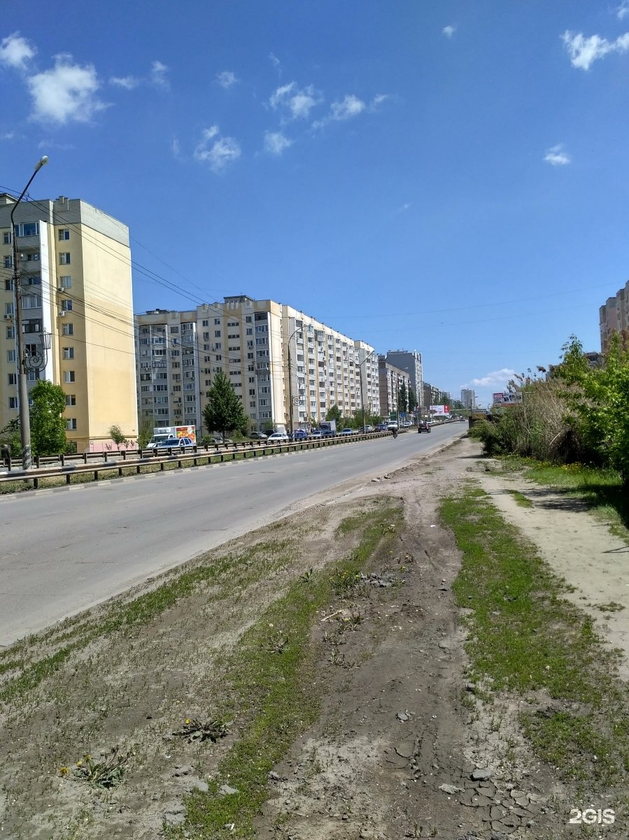 Тархова 29 саратов фото