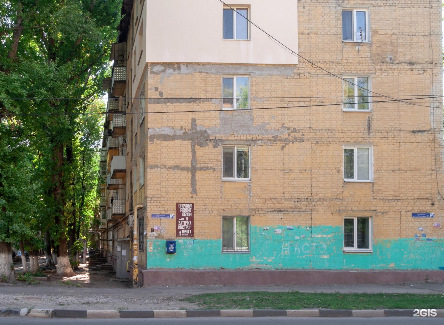 биология 11 кл учебник. пономарева 11. пономарева 11. пономарева 11. мурманск двор пономарева 11.