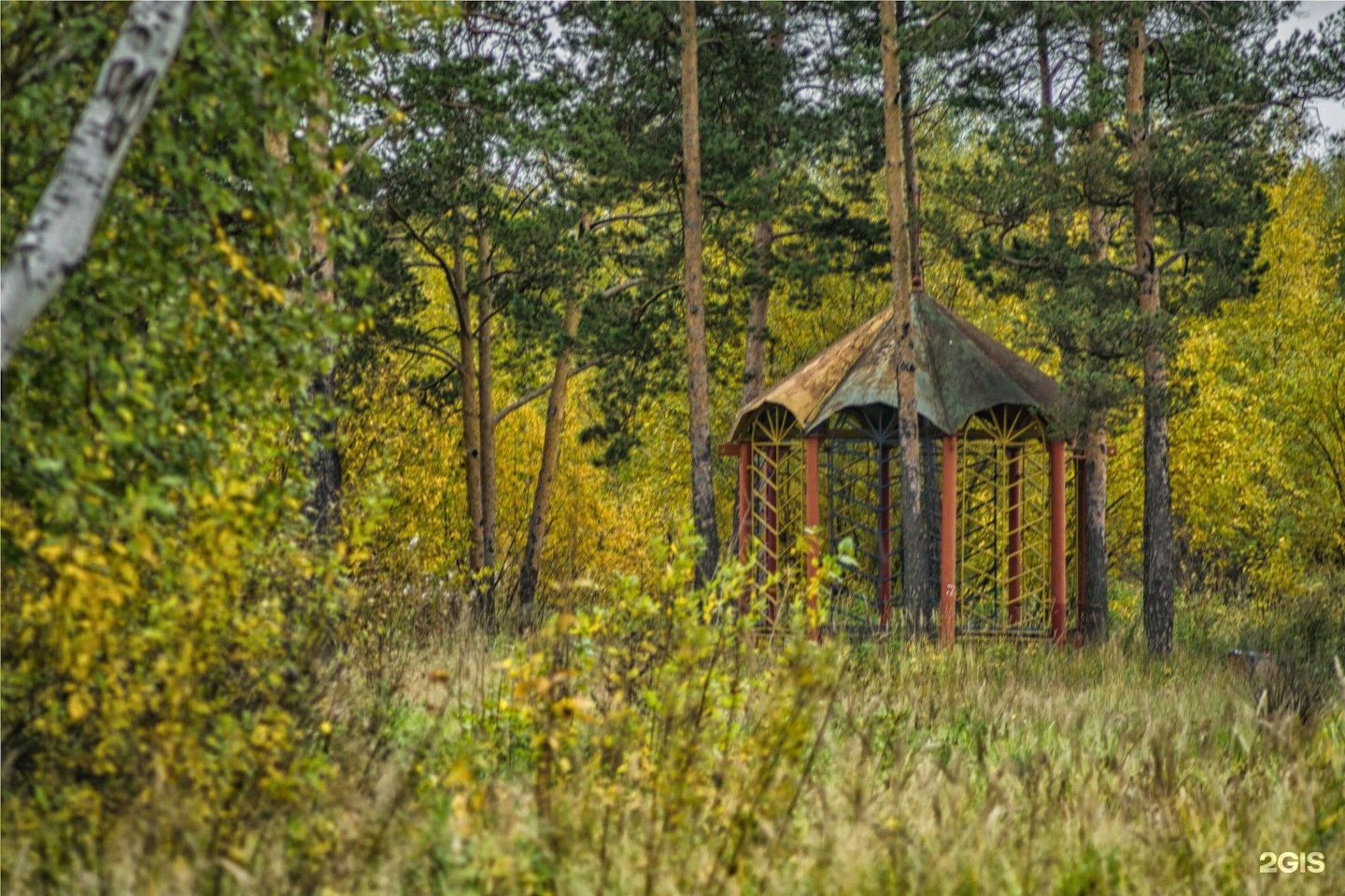 Парк культуры и отдыха металлургов. Парк на Тагилстрое Нижний Тагил. Парк культуры и отдыха Металлургов Нижний Тагил. Парк культуры и отдыха Металлургов Нижний Тагил вид сверху. Старые фото Тагилстроевского парка.