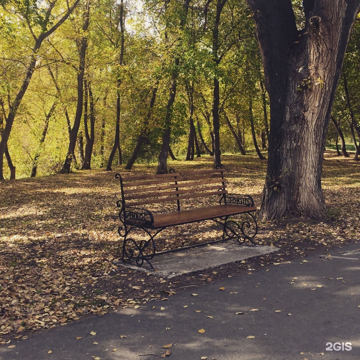 Роща оренбург. Зауральная роща Оренбург. Парк Зауральная роща Оренбург. Зауральная роща Оренбург осенью. Зауральная роща в Оренбурге осень.