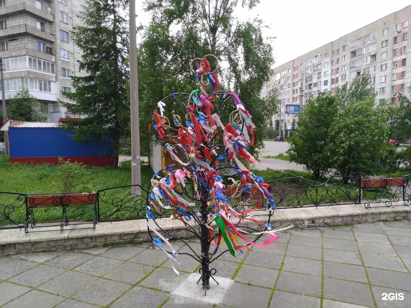 Дерево любви в гомеле