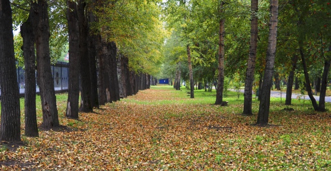 Комсомольский парк имени Веры Волошиной Парк расположен в Центральном районе гор