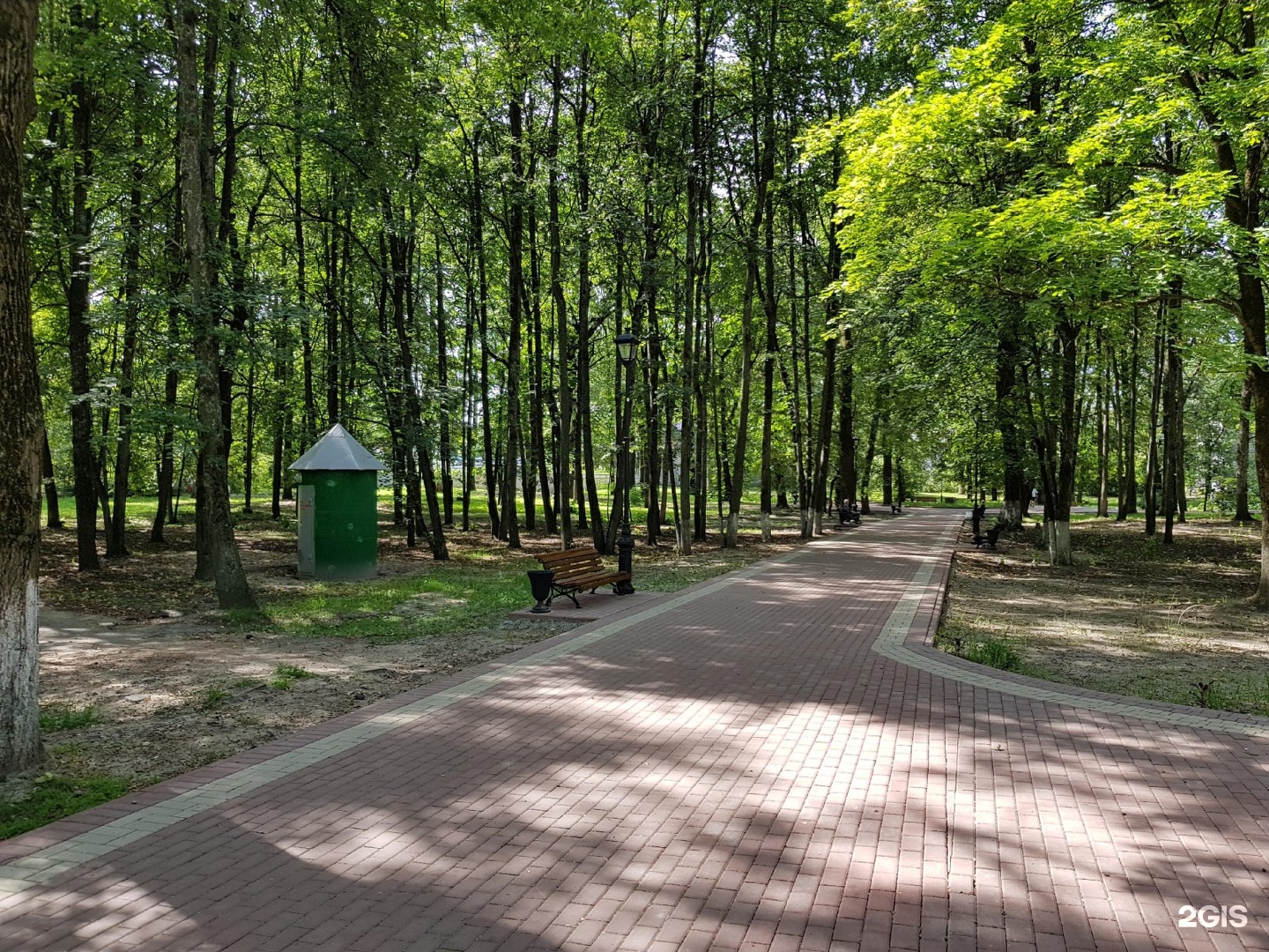Вид на парк соловьи Брянск