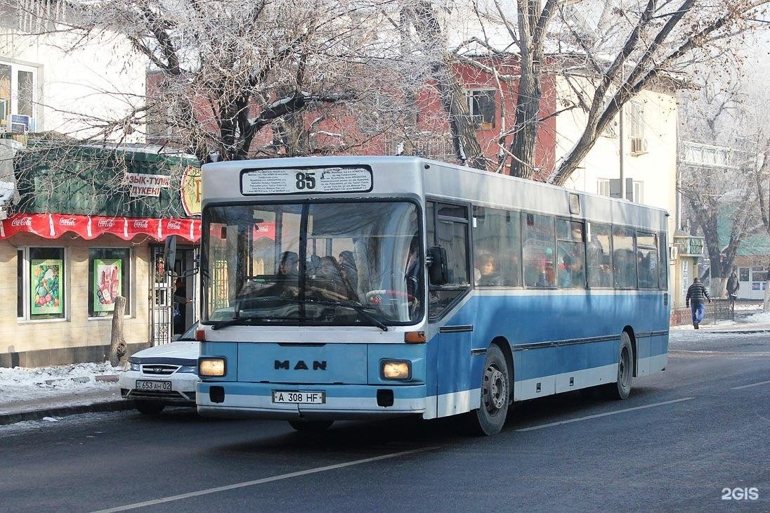 Отследи 85 автобус. Man 888 sü242. Автобус 85. 85 Автобус Таш.