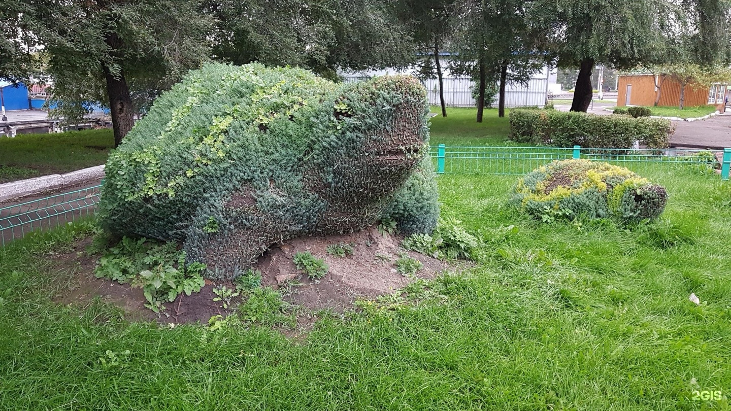 20 мая красноярск. Парк ДК 1 мая Красноярск. Скульптуры вертикального озеленения в Красноярске. Парк им 1 мая Красноярск. Парк имени 1 мая Красноярск где находится.