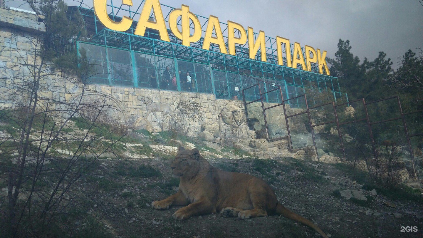 сафари парк москва