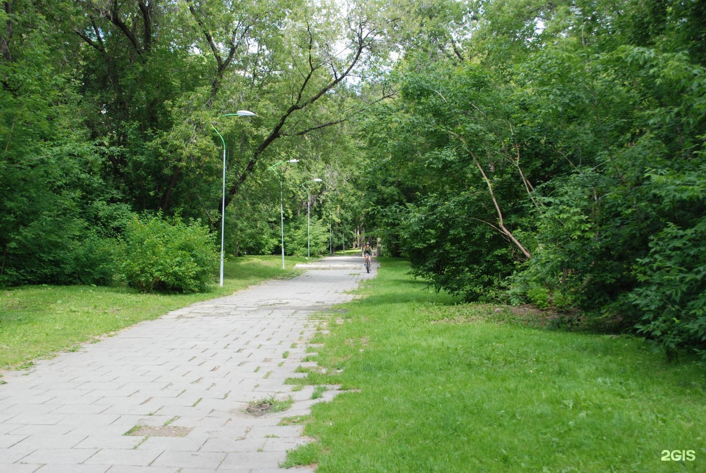 парк зеленая роща екатеринбург