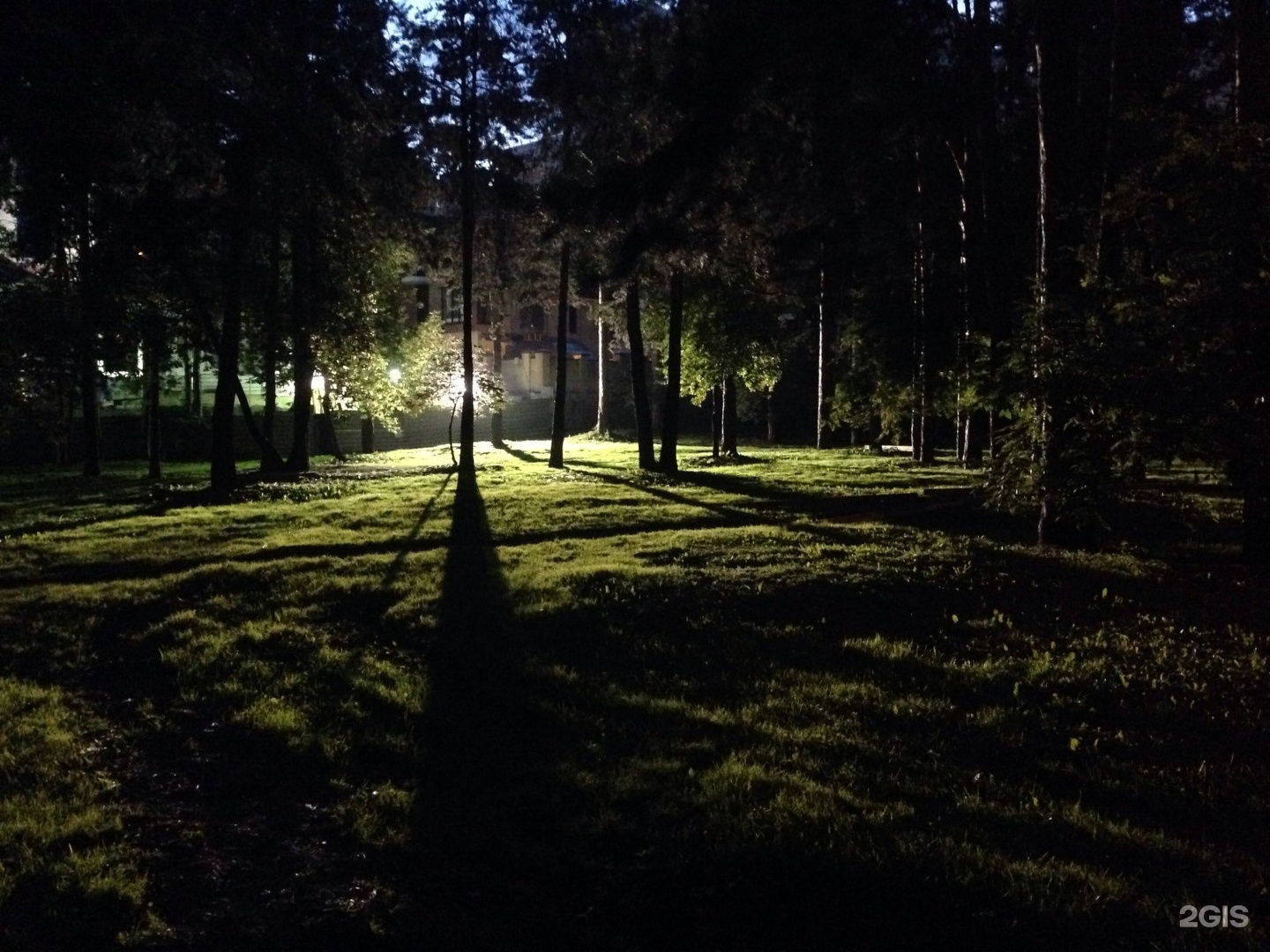 Фото зеленой рощи. Парк зеленая роща Екатеринбург. Зеленая роща Санкт-Петербург. Ночная роща. Зеленая роща СПБ вид.