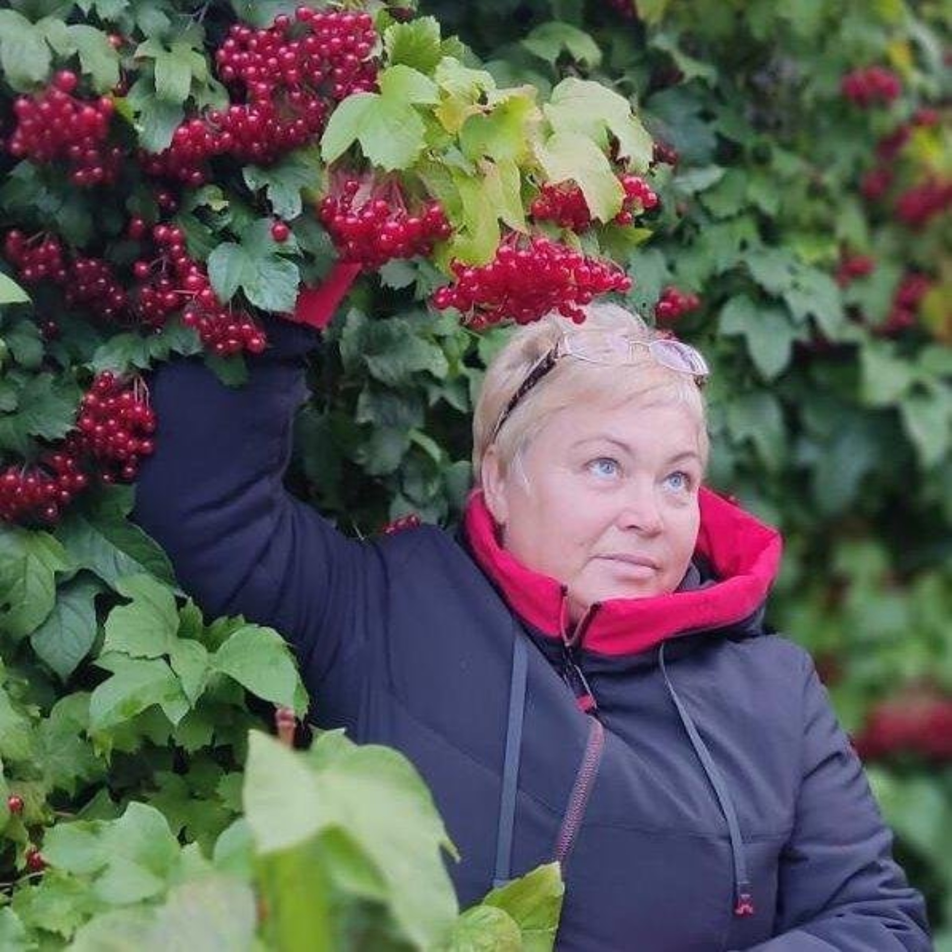 Багена, диагностический центр, улица 40 лет Октября, 52а, Канск — 2ГИС