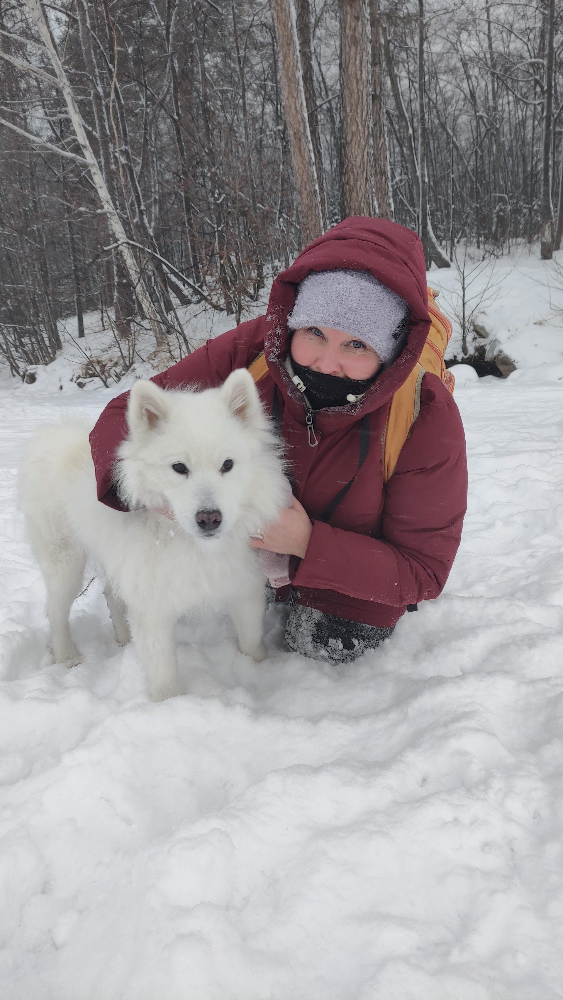 Пингвин, кулинария, проспект Автозаводцев, 44, Миасс — 2ГИС