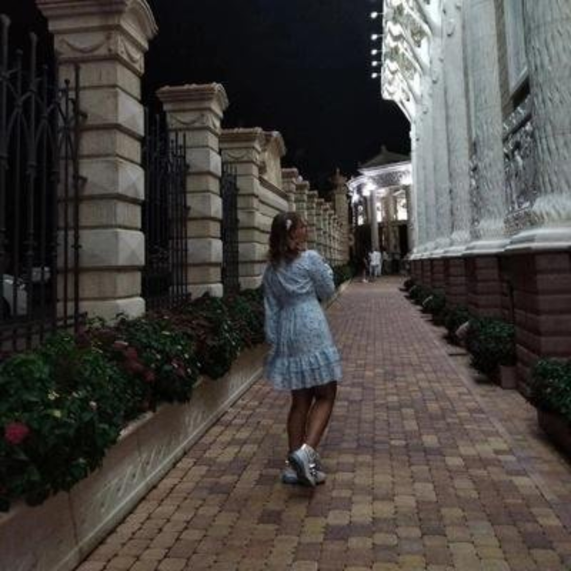 Сны любимого кота калуга
173