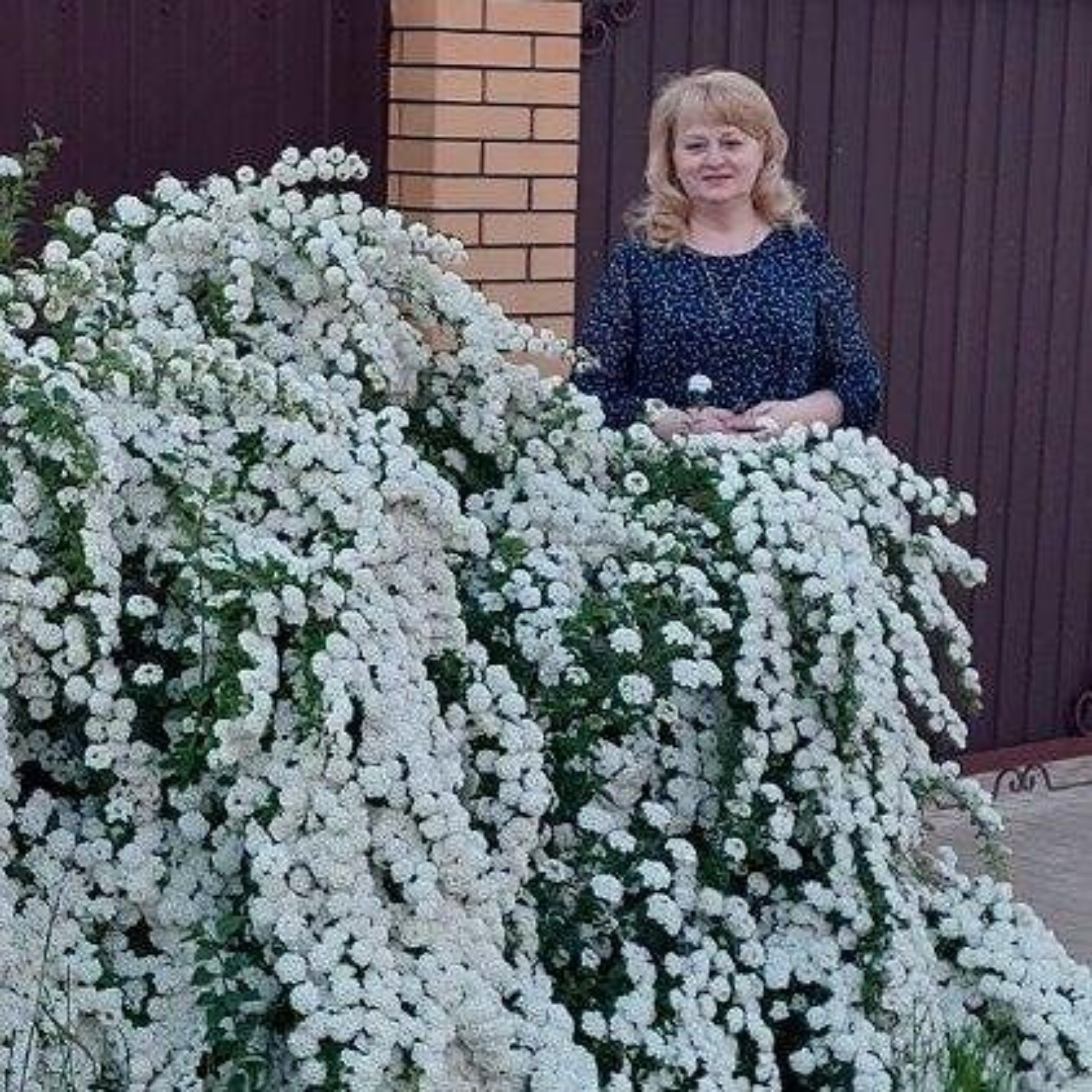 Отзывы о Авиценна, медицинский центр, Запольная, 47, Курск - 2ГИС