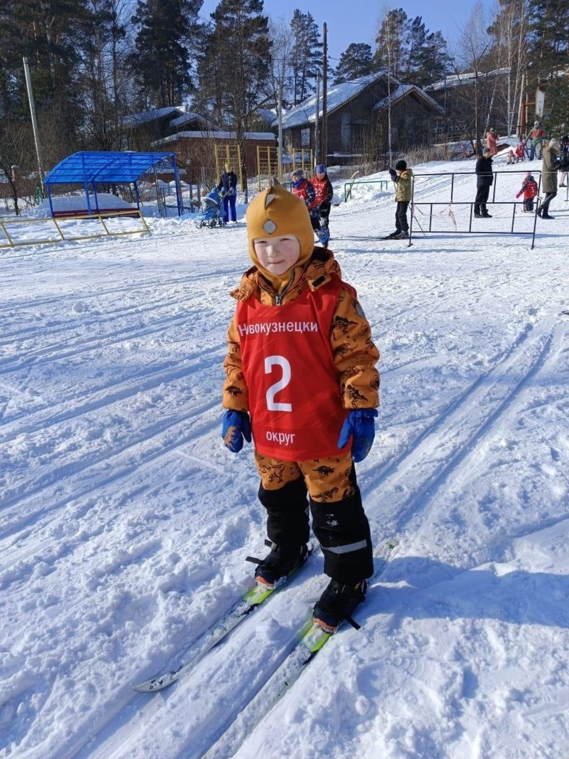 Ветсоветъ, ветеринарная клиника, Ростовская, 6, Новокузнецк — 2ГИС